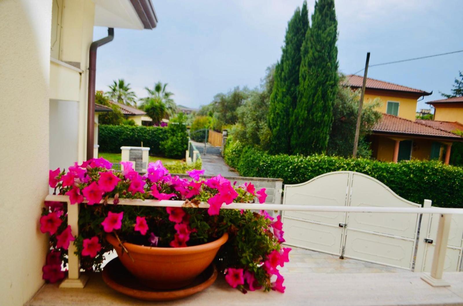 Apartment Ornella
