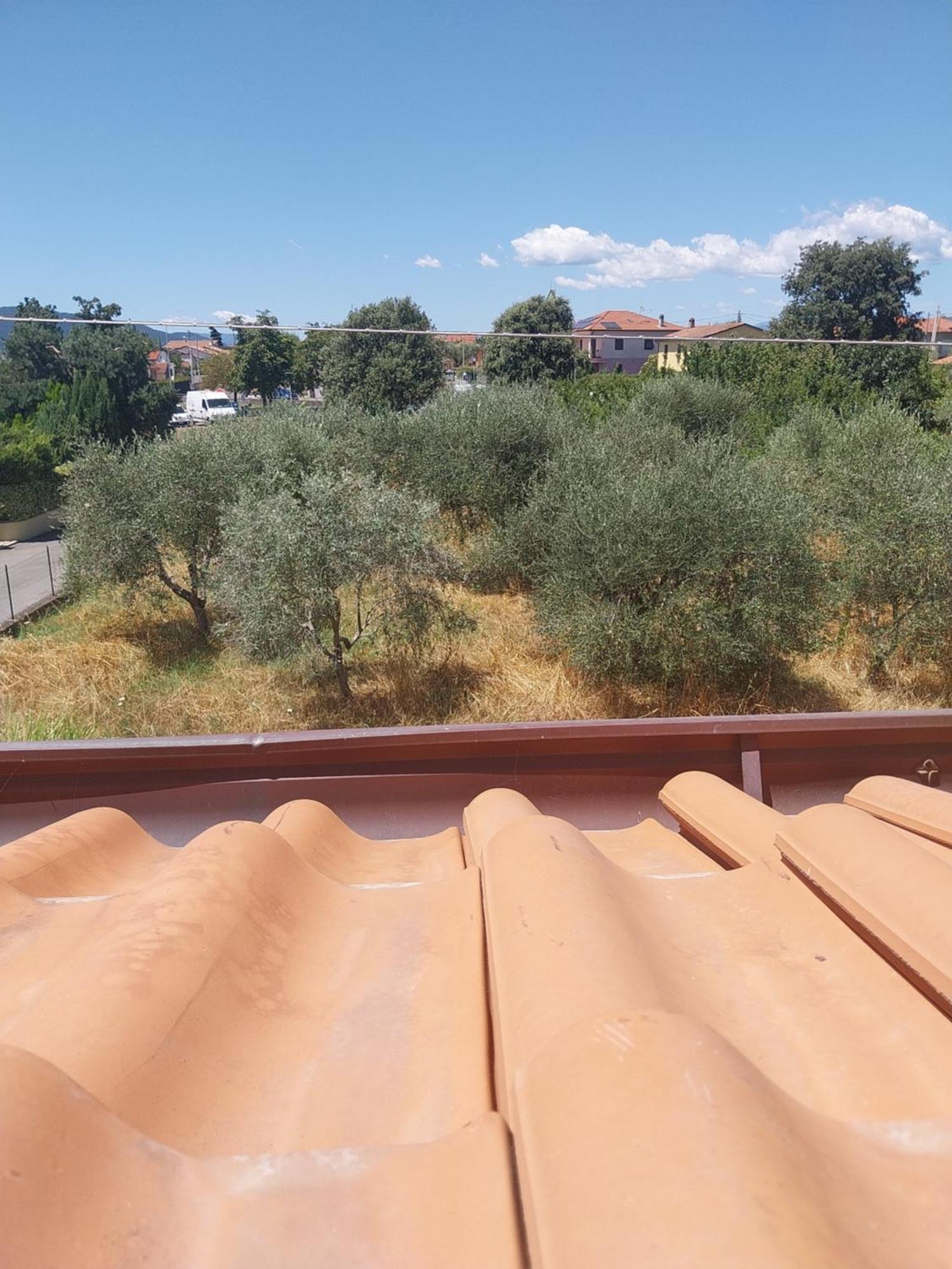 Ornella Apartment Luni